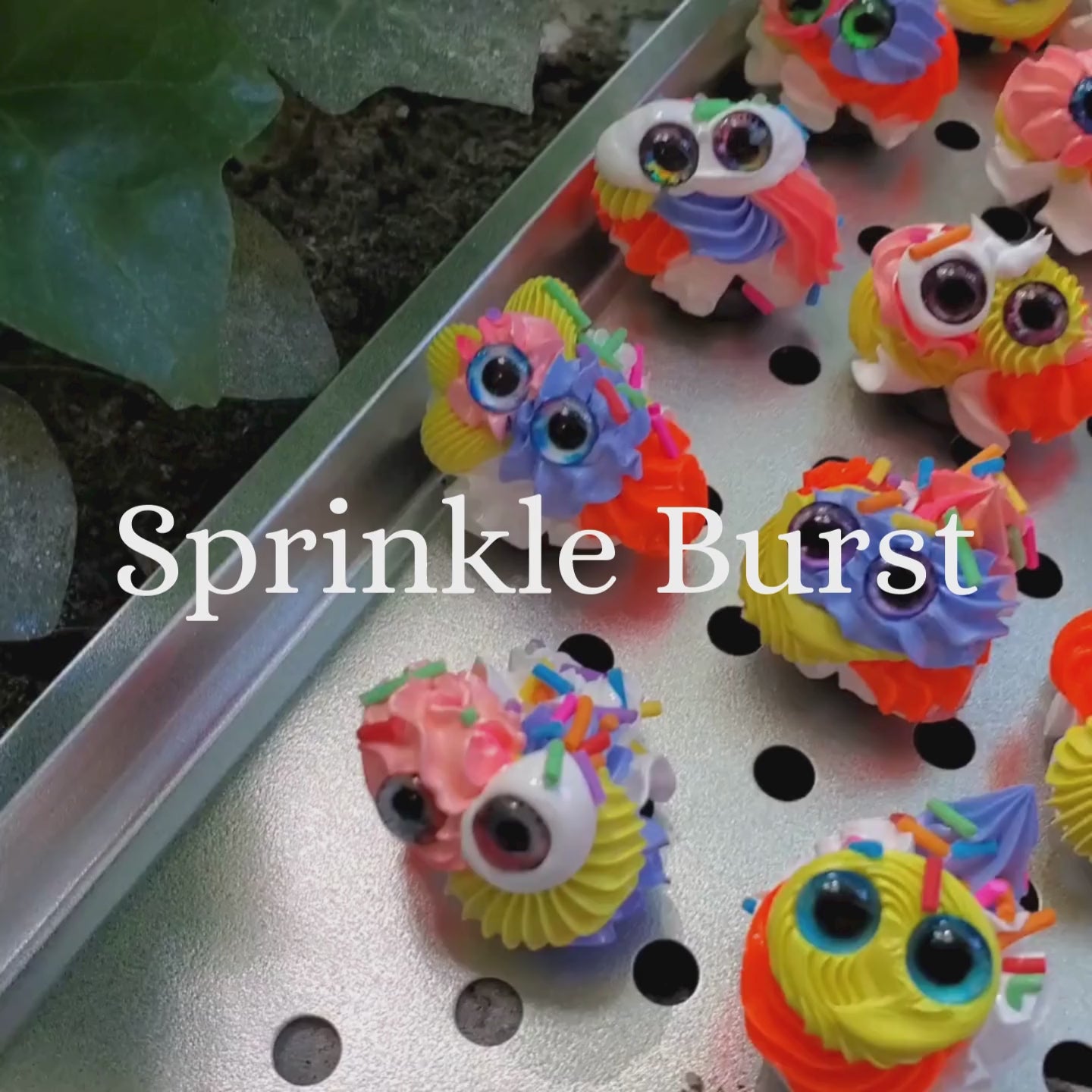 Adopt a Squirklee